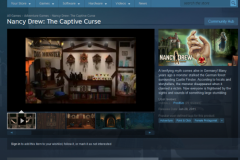 Not only was a video requested by Steam Valve, but hi-res screenshots in specific sizes and custom-sized game profile image. A complete document with the game description and copyright info was also delivered to them.